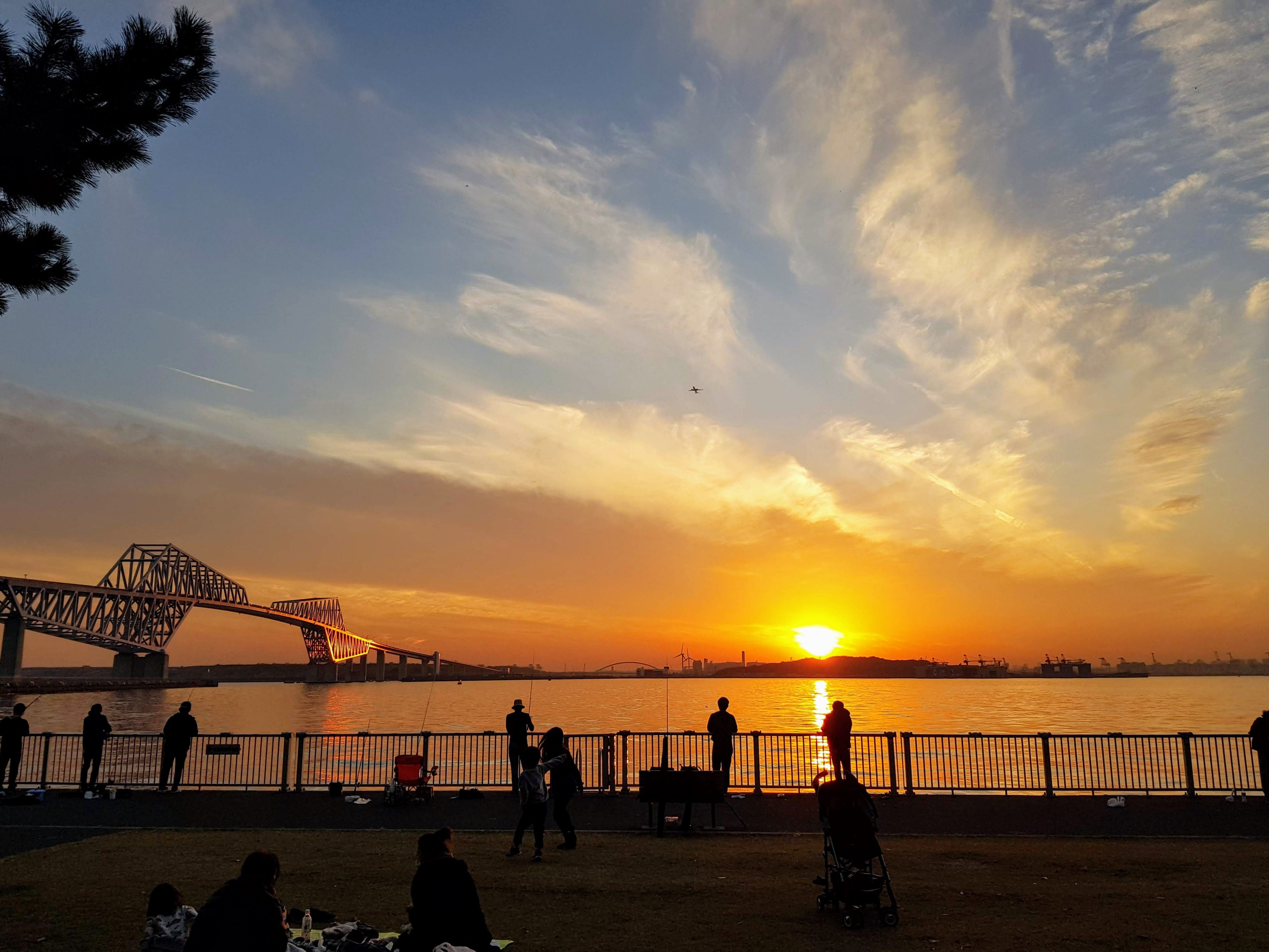 🌳 와카스 해변공원(와카스카이힌코엔) 이미지 5